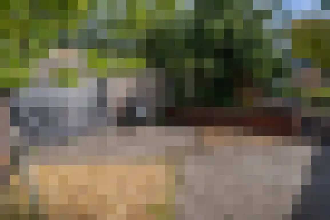 Julianaweg 51 Melissant thumbnail 42