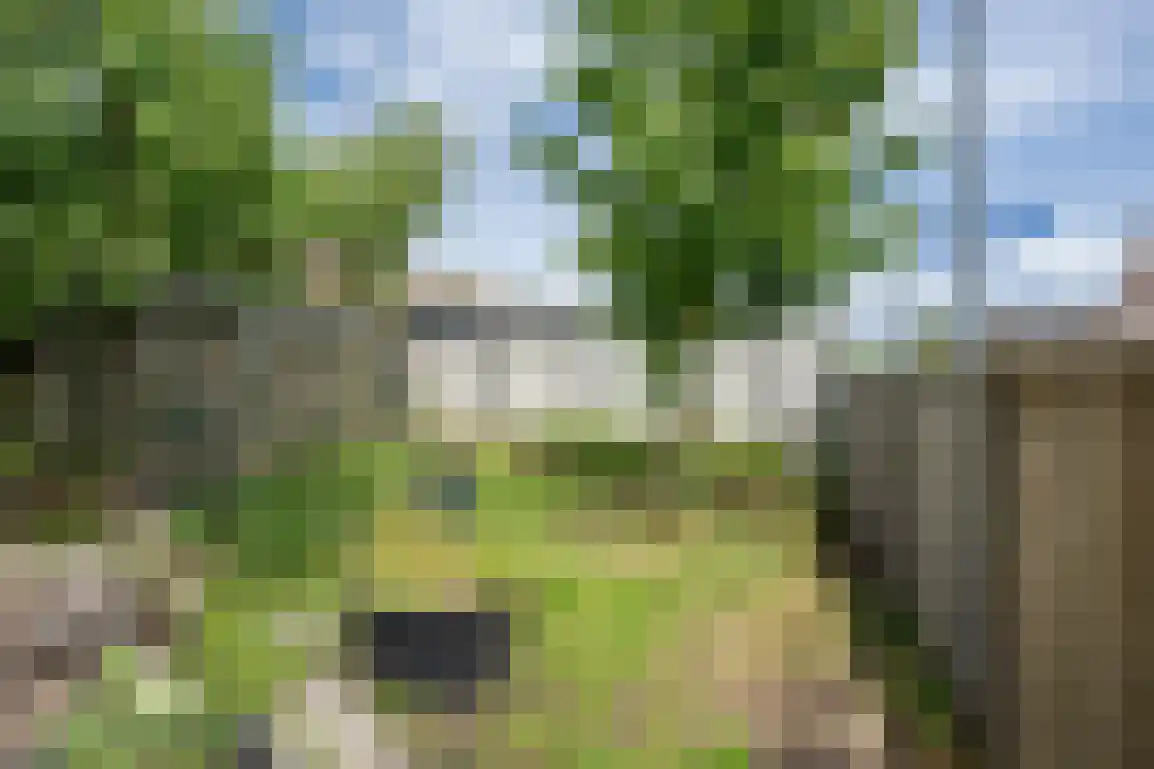 Julianaweg 51 Melissant thumbnail 42
