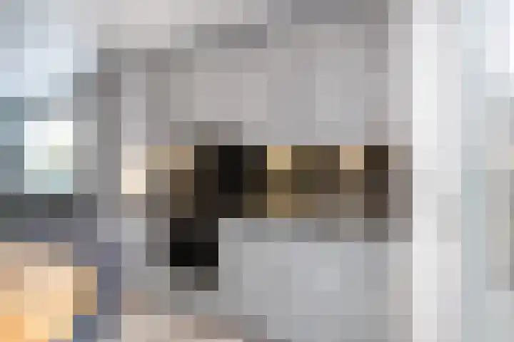 Julianaweg 53 Melissant thumbnail 10