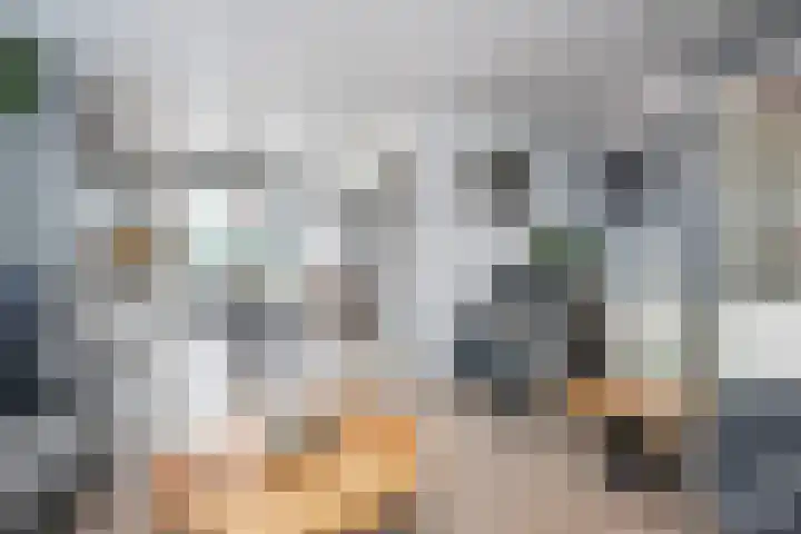 Julianaweg 53 Melissant thumbnail 13