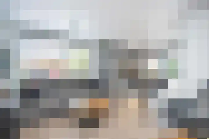 Julianaweg 53 Melissant thumbnail 14