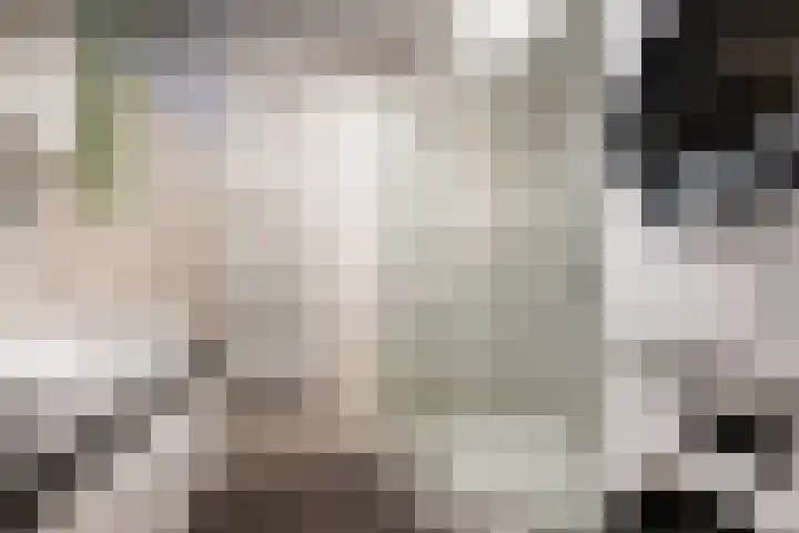 Julianaweg 53 Melissant thumbnail 15