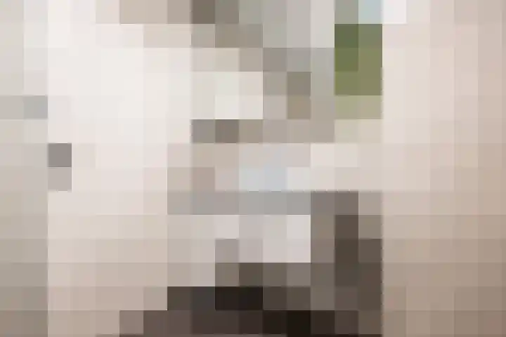 Julianaweg 53 Melissant thumbnail 16