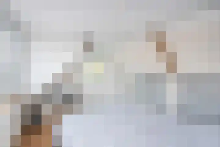 Julianaweg 53 Melissant thumbnail 20