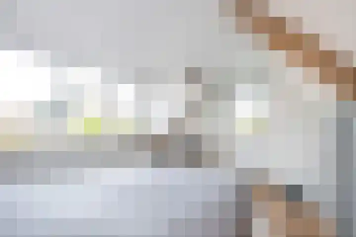 Julianaweg 53 Melissant thumbnail 21