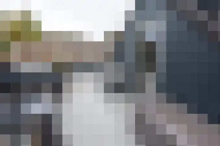 Julianaweg 53 Melissant thumbnail 23