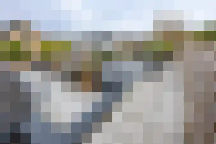 Julianaweg 53 Melissant thumbnail 24