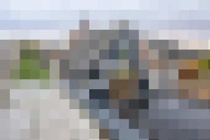 Julianaweg 53 Melissant thumbnail 25