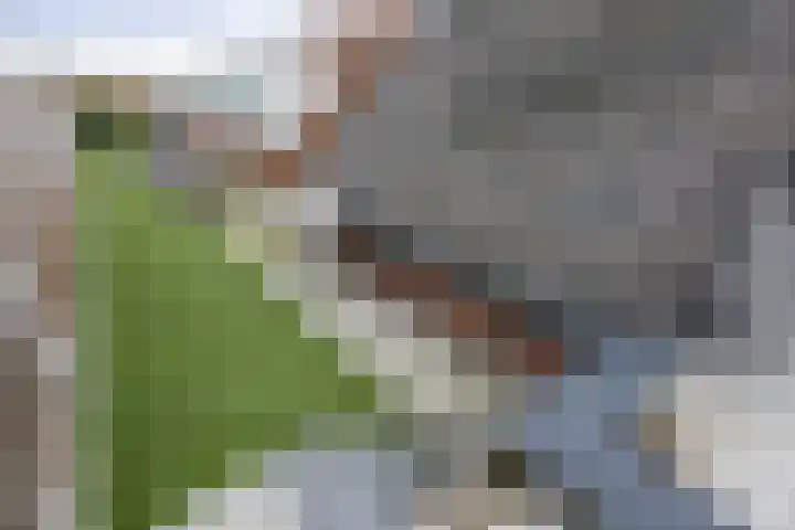 Julianaweg 53 Melissant thumbnail 26