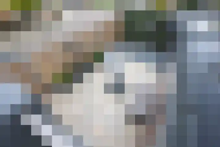 Julianaweg 53 Melissant thumbnail 27