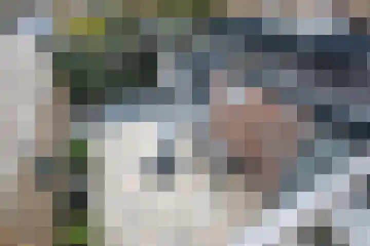 Julianaweg 53 Melissant thumbnail 28