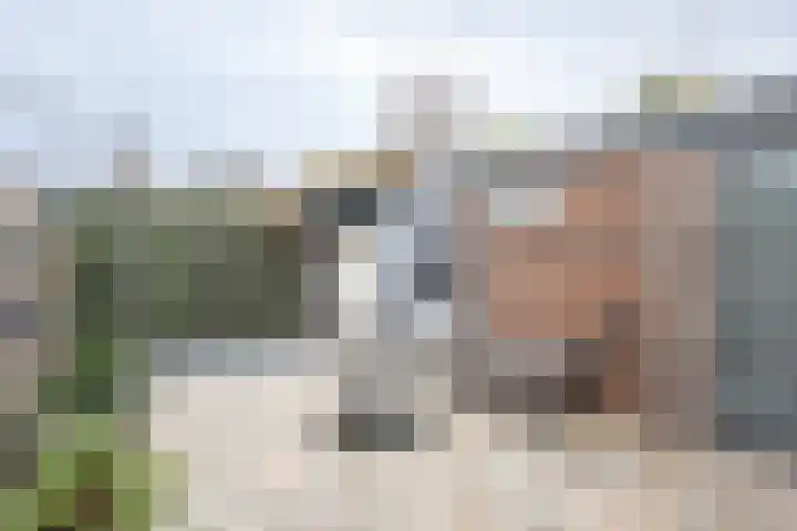 Julianaweg 53 Melissant thumbnail 31