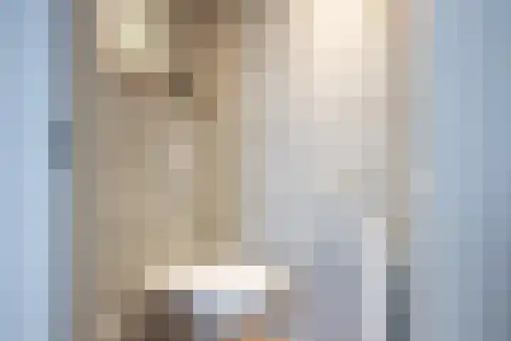 Julianaweg 53 Melissant thumbnail 6