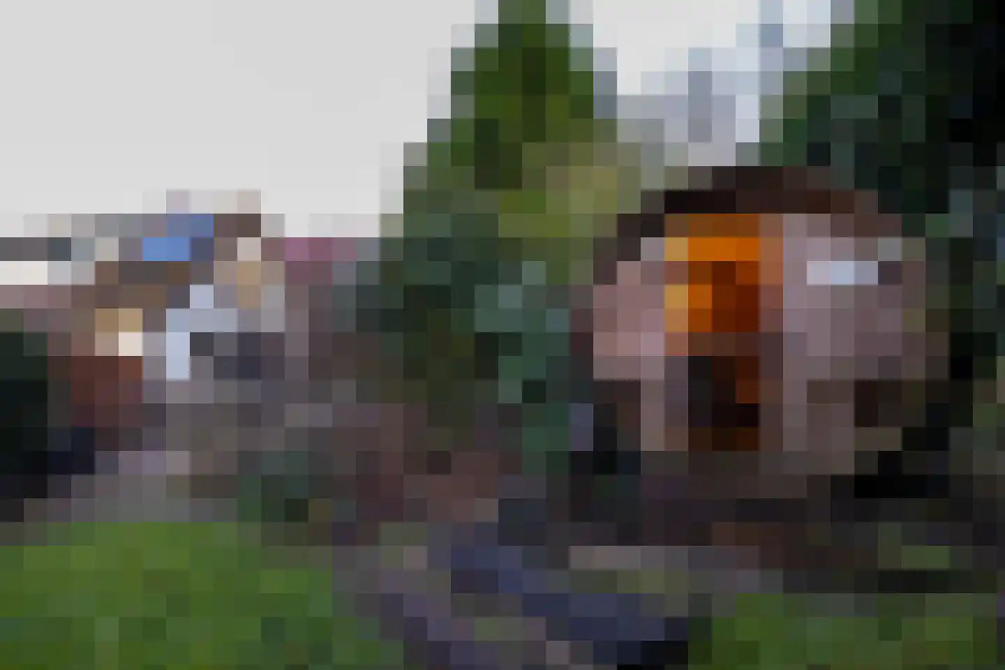 Julianaweg 59 Wijk aan Zee thumbnail 28