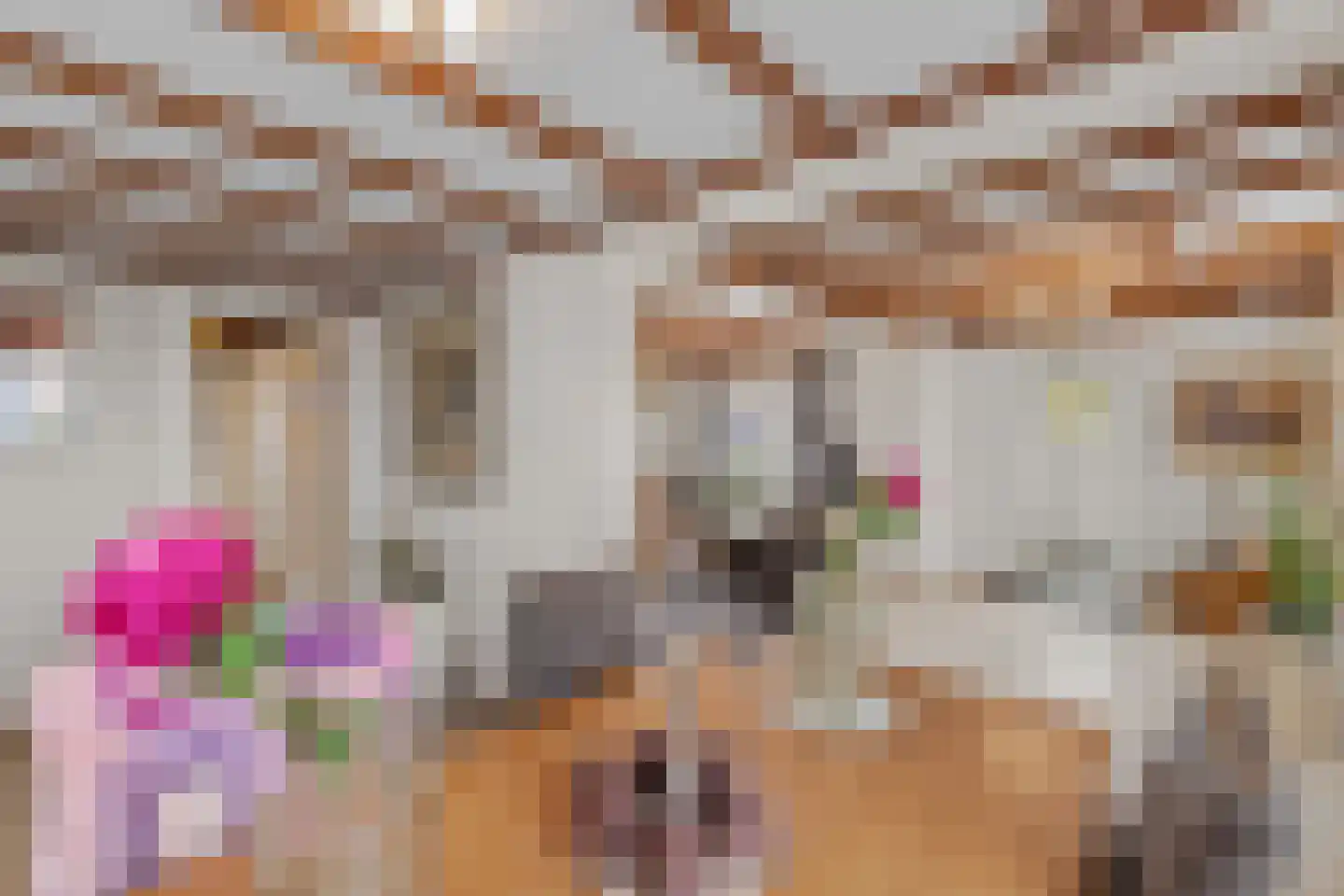 Julianaweg 6 a Wouwse Plantage thumbnail 10