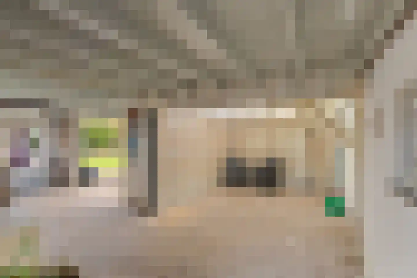 Julianaweg 6 a Wouwse Plantage thumbnail 34