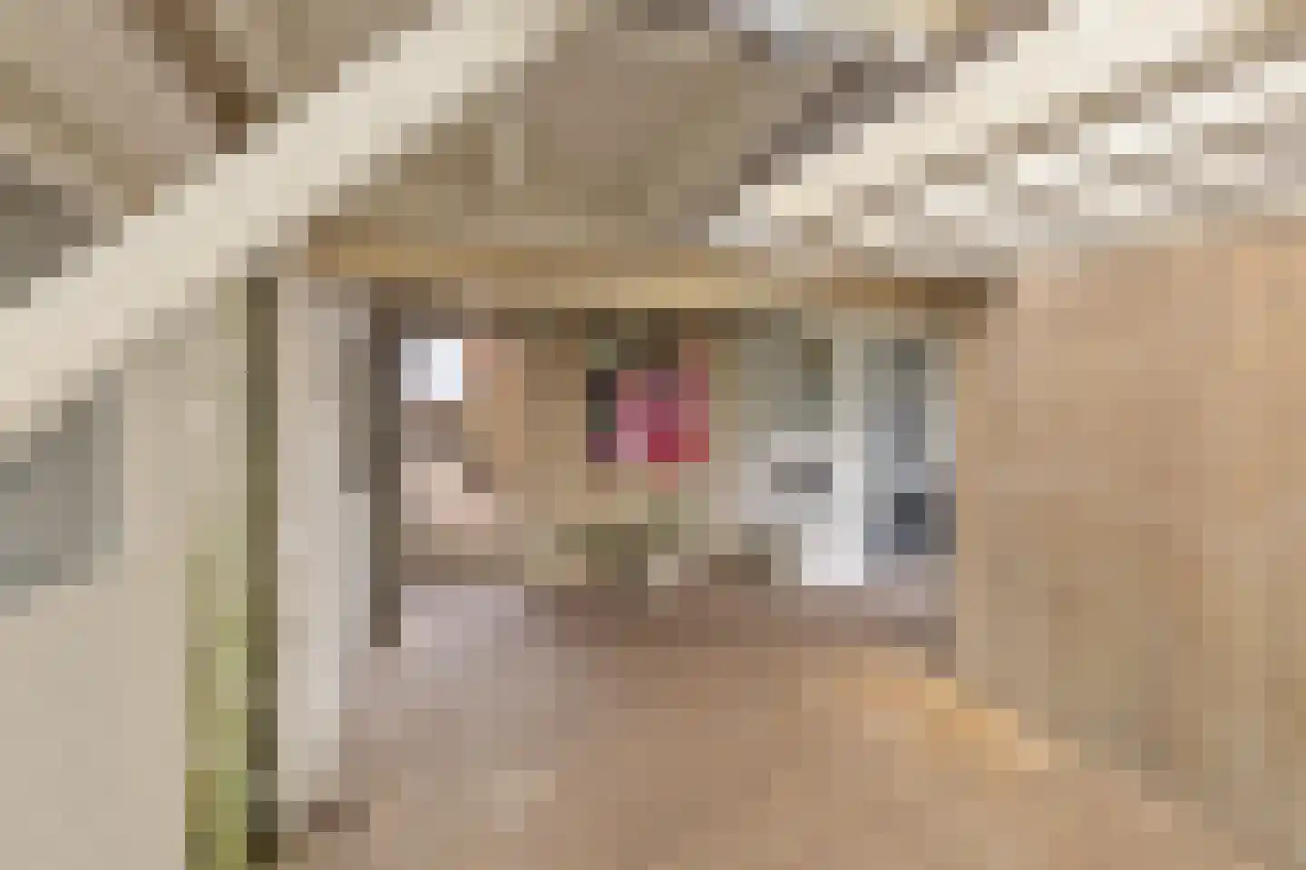 Julianaweg 6 a Wouwse Plantage thumbnail 35