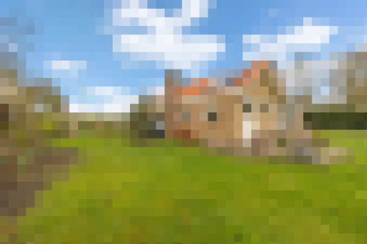Julianaweg 6 a Wouwse Plantage thumbnail 39