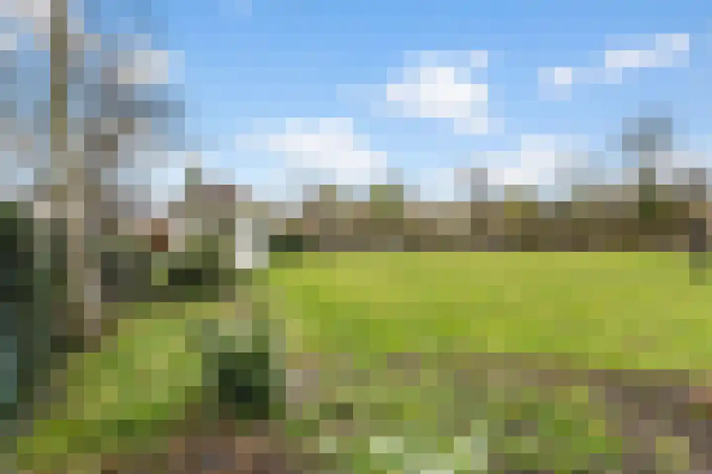 Julianaweg 6 a Wouwse Plantage thumbnail 46