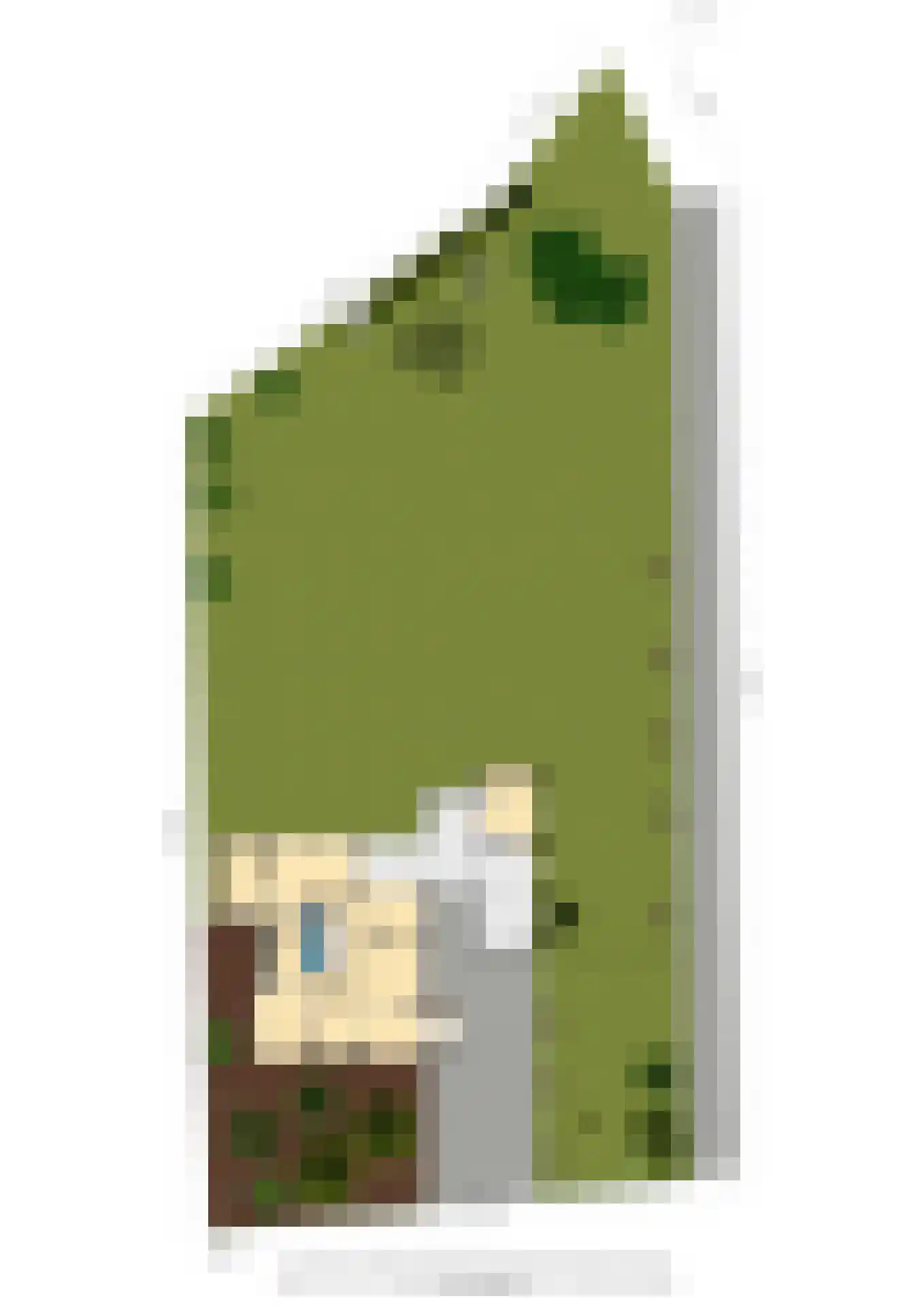 Julianaweg 6 a Wouwse Plantage thumbnail 56