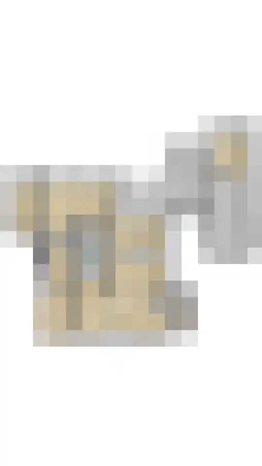 Julianaweg 6 a Wouwse Plantage thumbnail 57