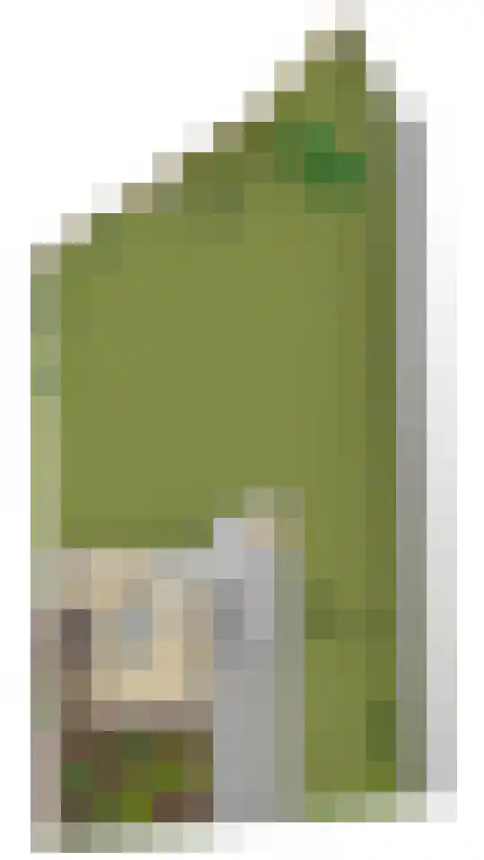 Julianaweg 6 a Wouwse Plantage thumbnail 58