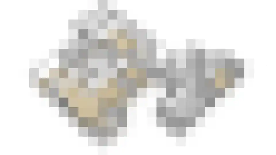 Julianaweg 6 a Wouwse Plantage thumbnail 59