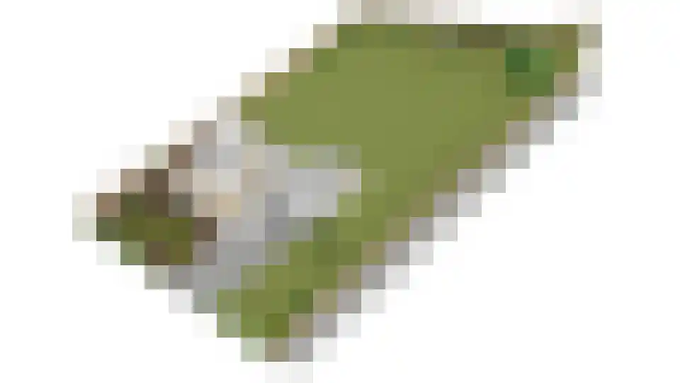 Julianaweg 6 a Wouwse Plantage thumbnail 60