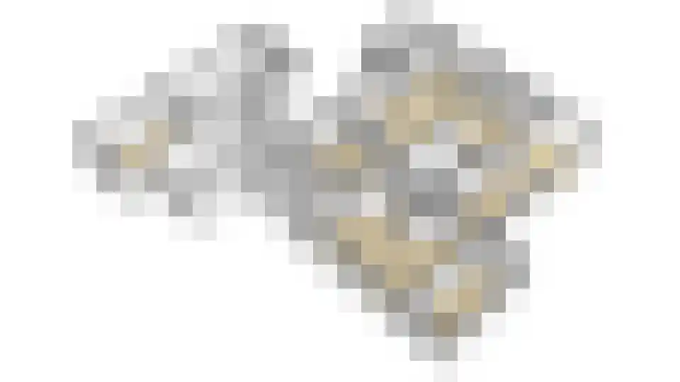 Julianaweg 6 a Wouwse Plantage thumbnail 61