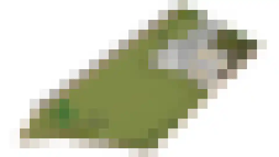 Julianaweg 6 a Wouwse Plantage thumbnail 62