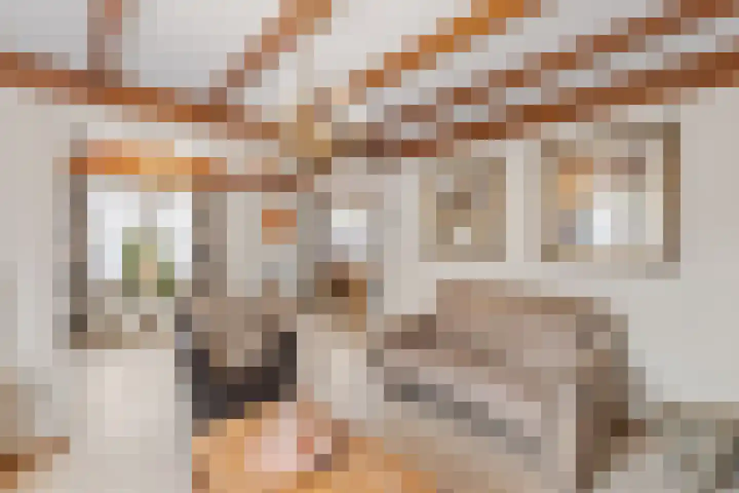 Julianaweg 6 a Wouwse Plantage thumbnail 8