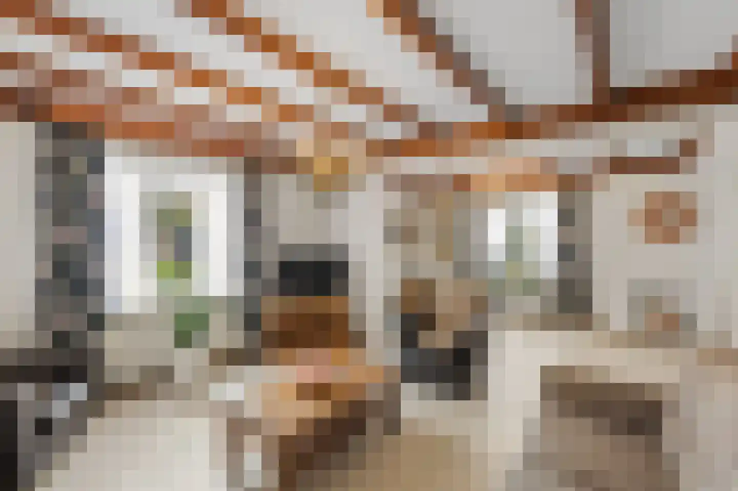 Julianaweg 6 a Wouwse Plantage thumbnail 9