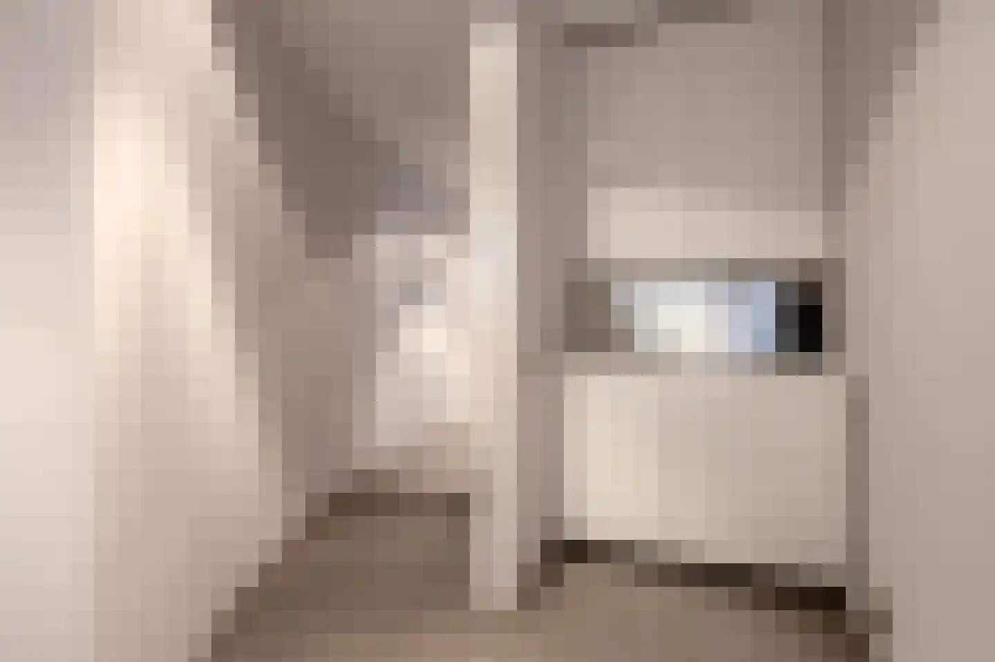 Julianaweg 63 B Wijk aan Zee thumbnail 40