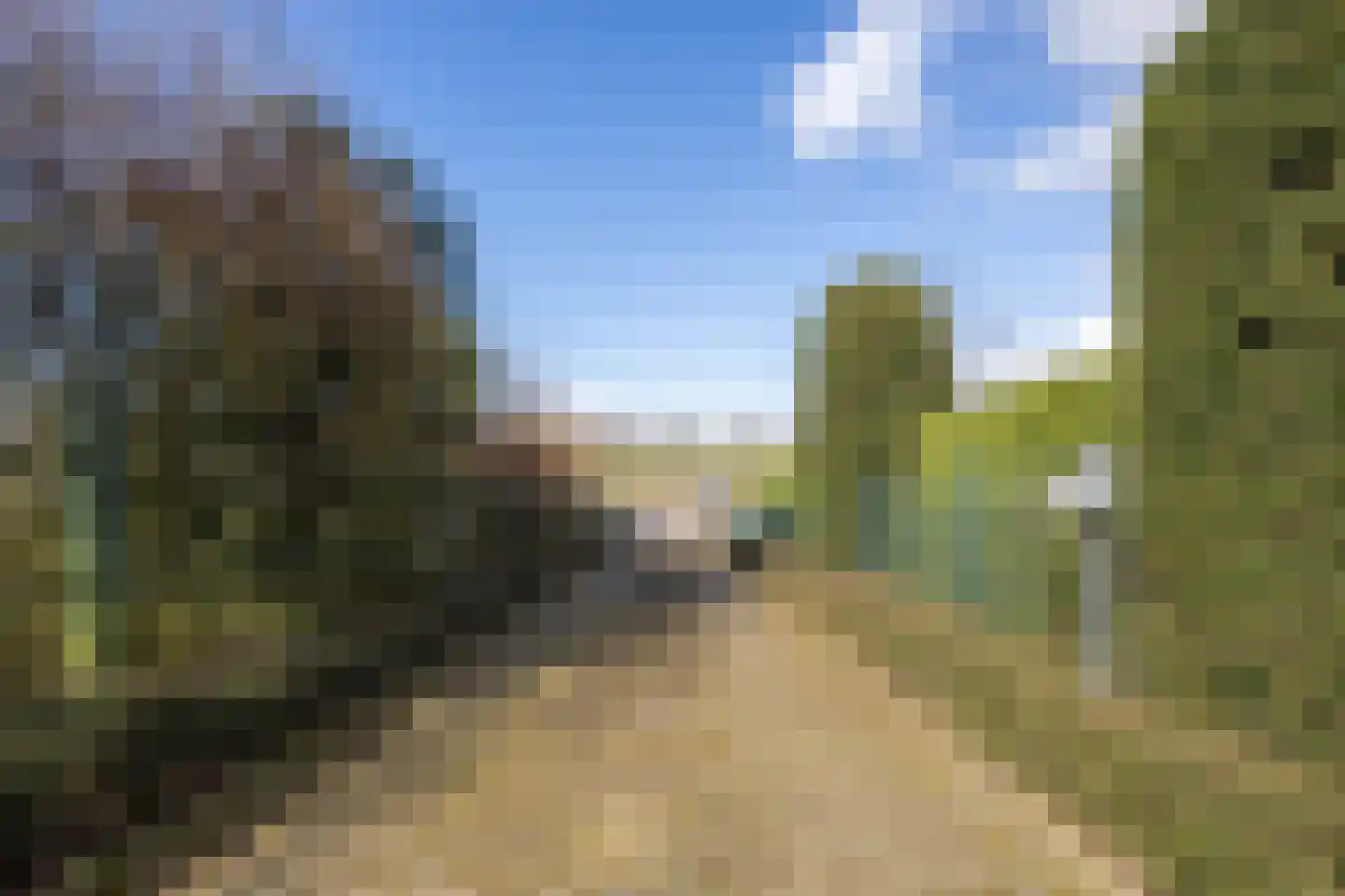 Julianaweg 63 B Wijk aan Zee thumbnail 46