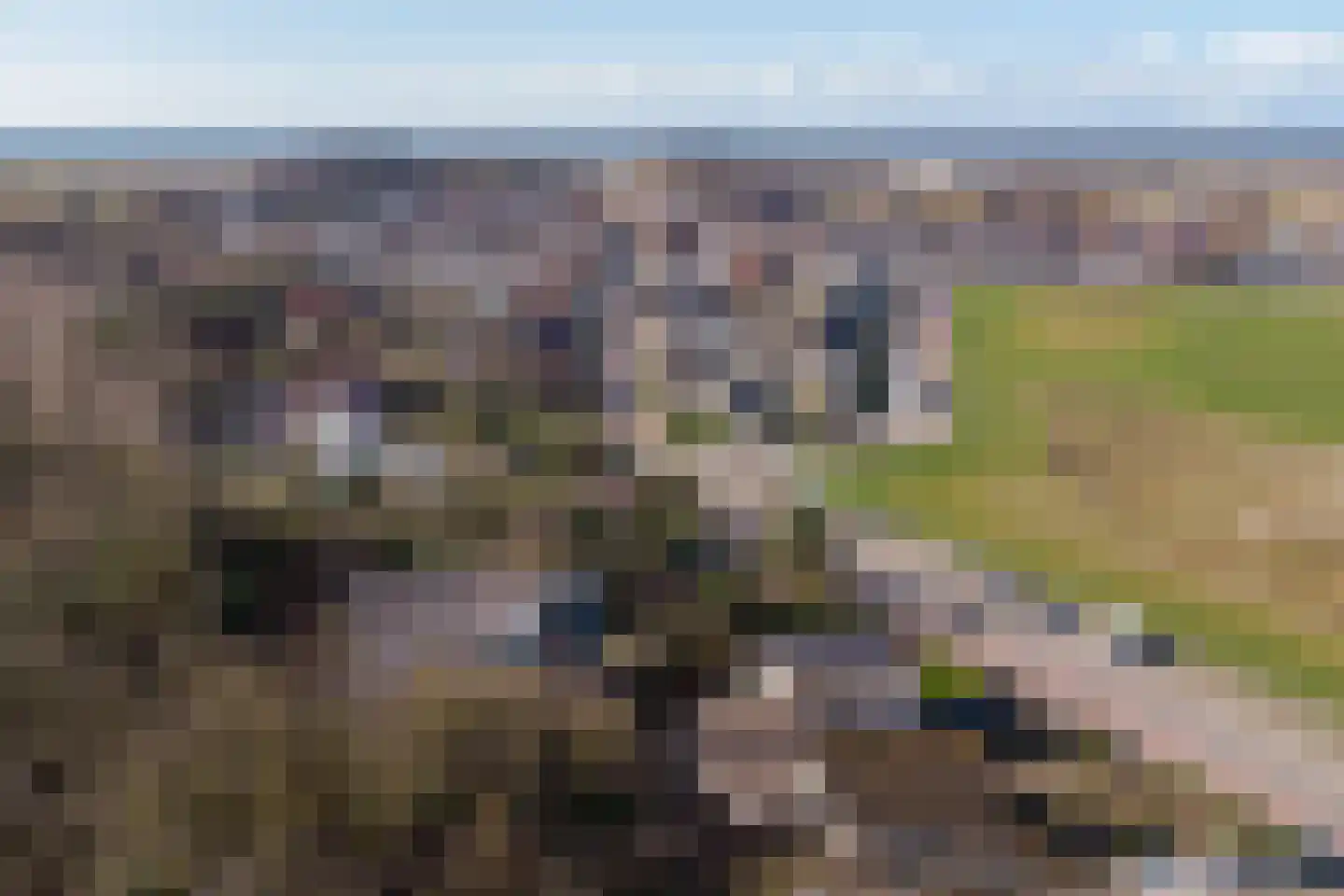 Julianaweg 63 B Wijk aan Zee thumbnail 59
