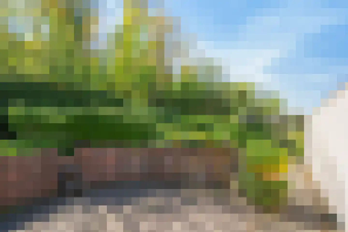 Julianaweg 63 B Wijk aan Zee thumbnail 62