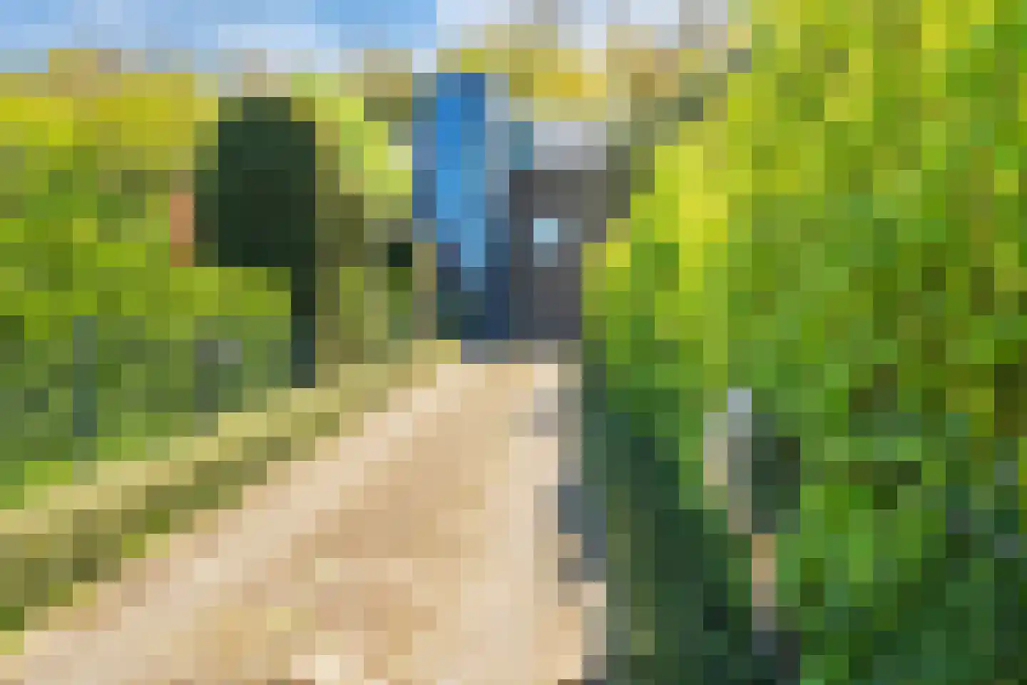 Julianaweg 63 B Wijk aan Zee thumbnail 69
