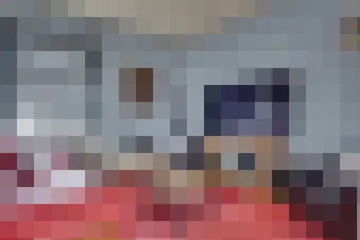 Julianaweg 68 Melissant thumbnail 12