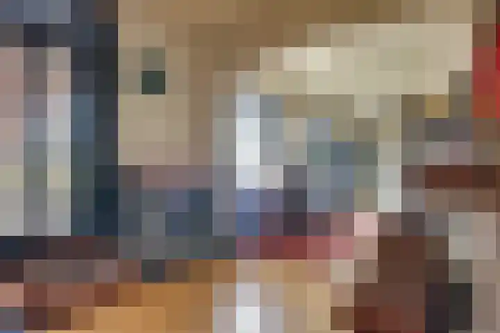 Julianaweg 68 Melissant thumbnail 19