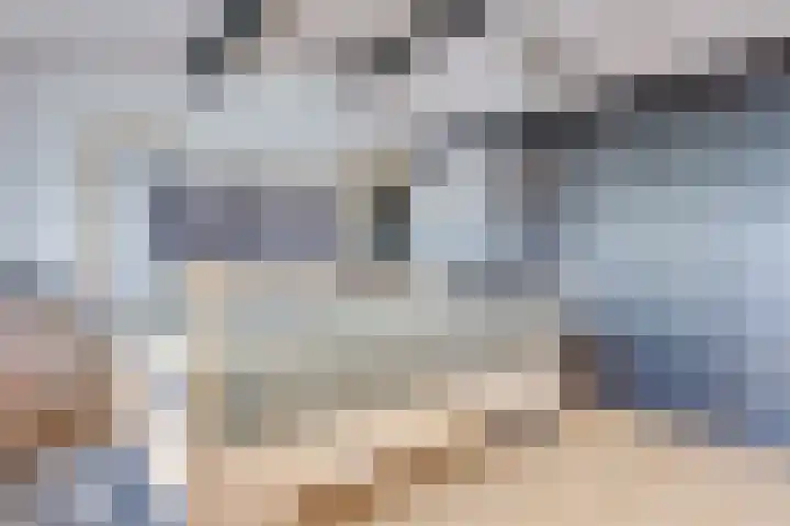 Julianaweg 68 Melissant thumbnail 37