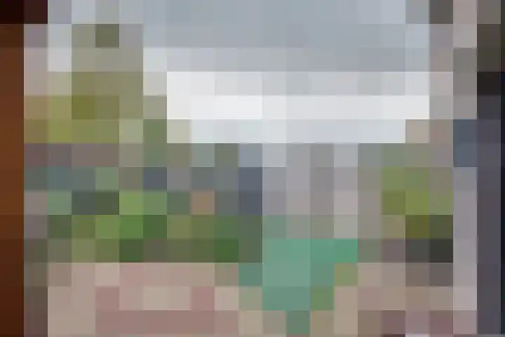 Julianaweg 68 Melissant thumbnail 39