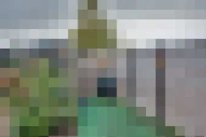 Julianaweg 68 Melissant thumbnail 40
