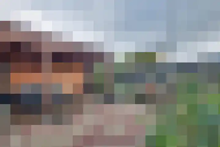 Julianaweg 68 Melissant thumbnail 42