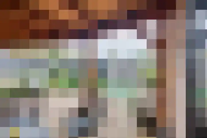 Julianaweg 68 Melissant thumbnail 43
