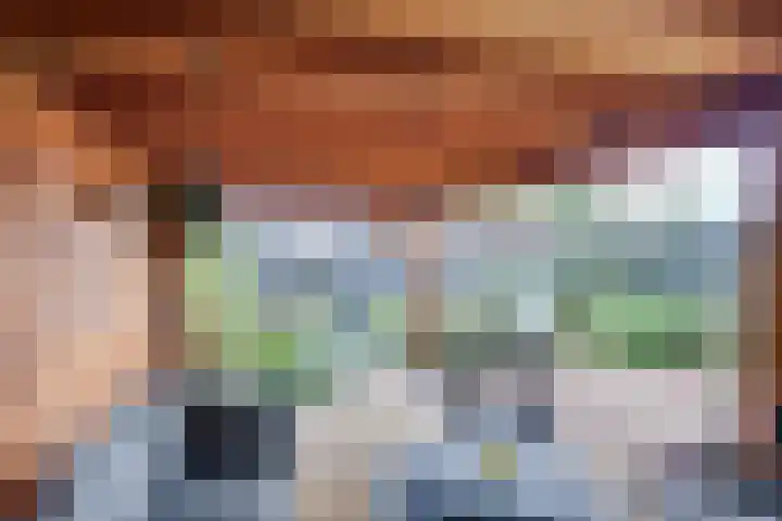 Julianaweg 68 Melissant thumbnail 44
