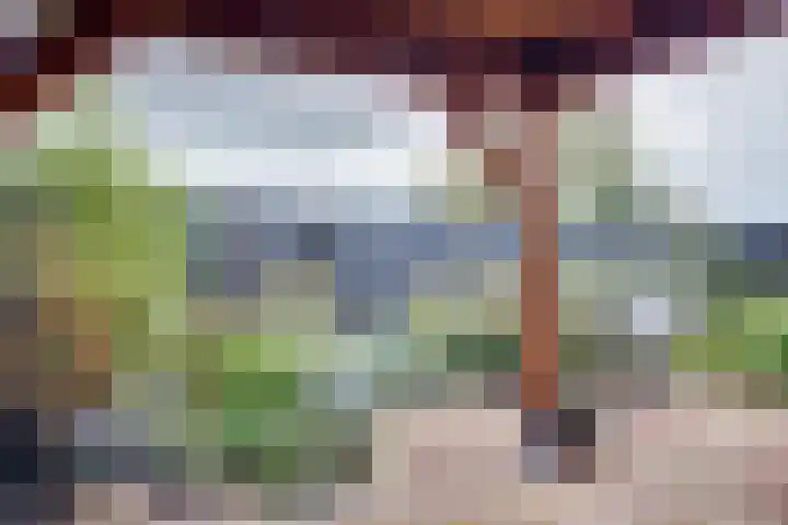 Julianaweg 68 Melissant thumbnail 45