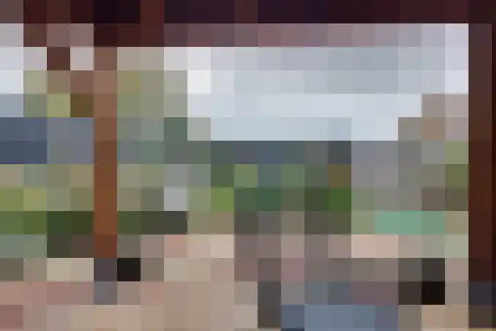 Julianaweg 68 Melissant thumbnail 46