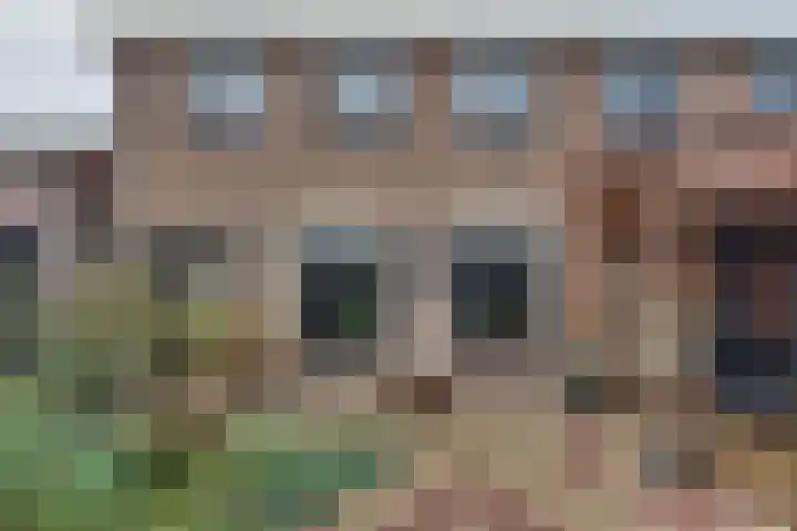 Julianaweg 68 Melissant thumbnail 50