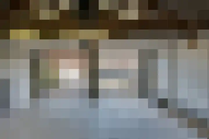 Julianaweg 68 Melissant thumbnail 54
