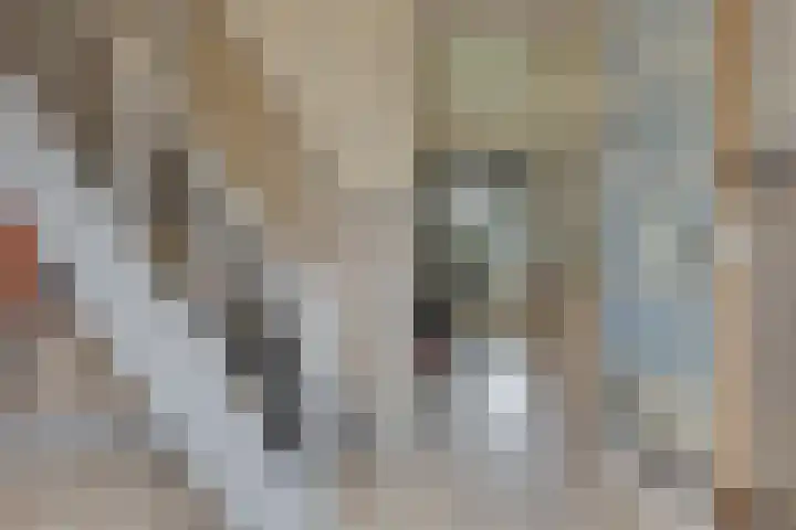 Julianaweg 68 Melissant thumbnail 7